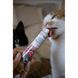 Паста GimCat DUO PASTE Anti-hairboll malt with chicken для котів з чутливим травленням усіх порід мальт та курка 50г G-427201 фото 4