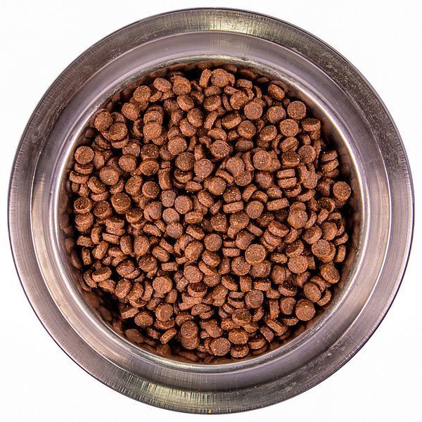 Monge Dog Medium Starter для собак від 10кг до 80кг 70011600 фото