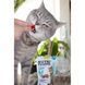 Витаминные лакомства GimCat Nutri Pockets Dental для котов для зубов 60 г G-418285/419336/419244 фото 3